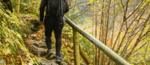 4 practical ways to understand the bible