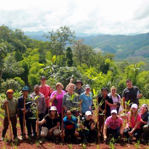 4.4 Mango tree planting