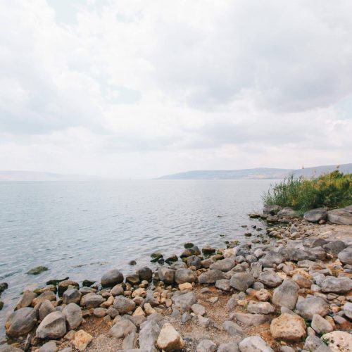 israel-trip-with-gene-and-barbara-appel-3