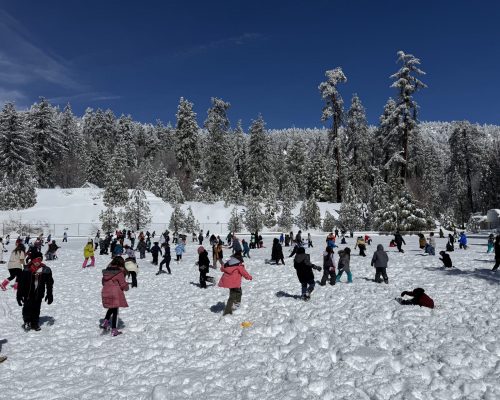 kids-winter-camp-IMG_4337